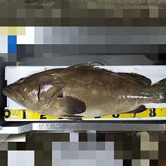 クエ入荷！の画像