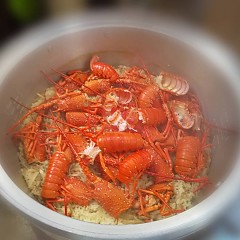 伊勢海老フルコースの画像