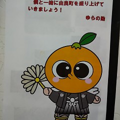 成人の日の画像