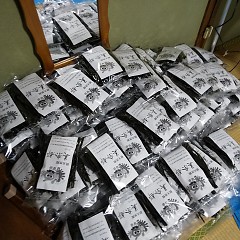 衣奈ワカメの画像