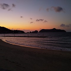 衣奈ワカメの画像