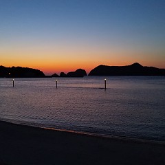 お弁当の画像