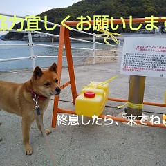 休業のお知らせの画像