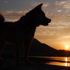 綺麗な夕陽の画像