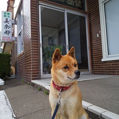 営業再開の画像
