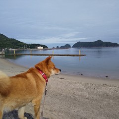 営業再開の画像