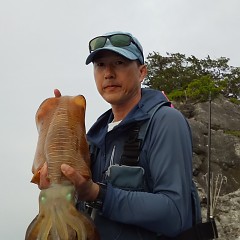 アオリイカの画像