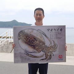アオリイカの画像