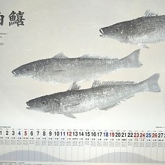 素敵なお知らせ！の画像