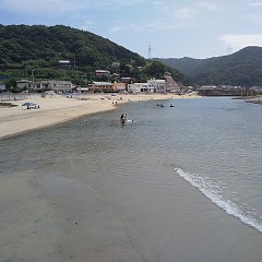 暑中お見舞い申し上げますの画像