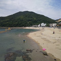 暑中お見舞い申し上げますの画像