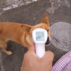コロナ対策！の画像