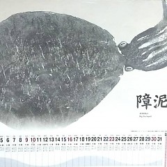 8月の画像