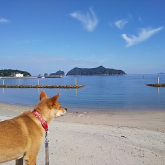 8月の画像