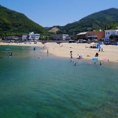 衣奈海岸の画像