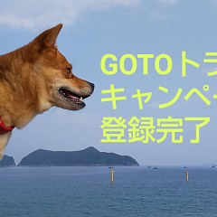 GOTOトラベルの画像