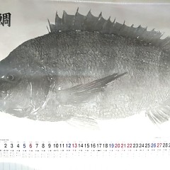 9月スタートの画像