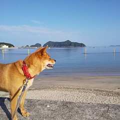 9月スタートの画像