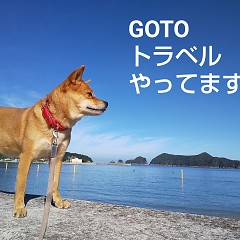 GOTOトラベル・リフレッシュの画像
