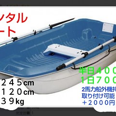 アオリイカの画像