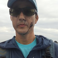 アオリイカの画像
