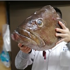 お料理＆クエ入荷の画像