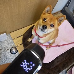 新しい宿泊のエチケットの画像