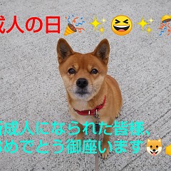 成人の日の画像