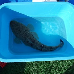ミニボートの画像