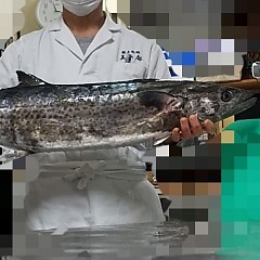 特別会席の画像