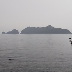 近大クエ鍋フルコースの画像