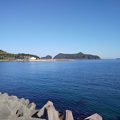 行楽日和の画像