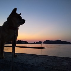 綺麗な夕焼けの画像