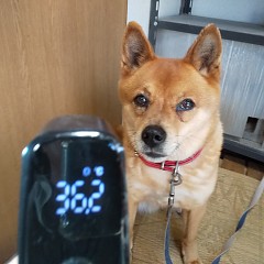 6月の画像