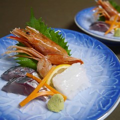 釣りプランの画像