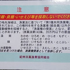 ご協力宜しくお願いしますの画像