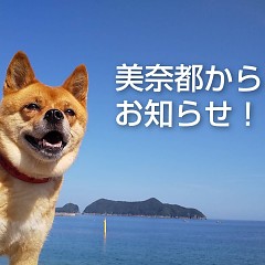 9／15まで自粛の画像