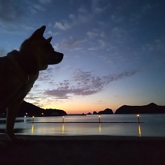 お知らせの画像