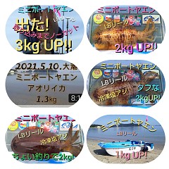 YouTubeの画像