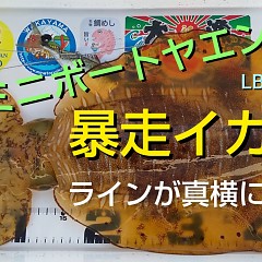 YouTubeの画像