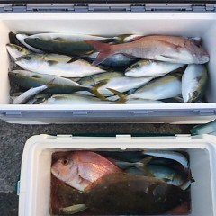 ■9月1日（木）昼便・タテ釣りの写真その3