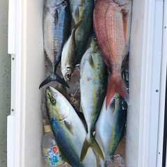■9月1日（木）昼便・タテ釣りの写真その7