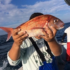 ■10月8日（土）昼便・ウタセ真鯛釣りの写真その2
