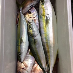 ■10月8日（土）昼便・ウタセ真鯛釣りの写真その7