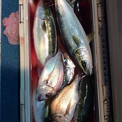 ■10月10日（月）昼便・ウタセ真鯛釣りの写真その5