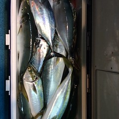 ■10月10日（月）昼便・ウタセ真鯛釣りの写真その8