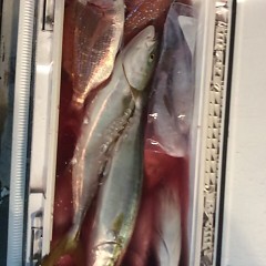 ■10月10日（月）昼便・ウタセ真鯛釣りの写真その11