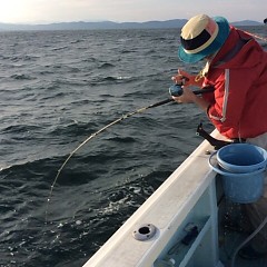 ■10月12日（水）昼便・ウタセ真鯛釣りの写真その7