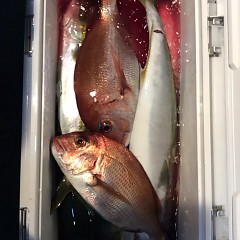 ■10月12日（水）昼便・ウタセ真鯛釣りの写真その12