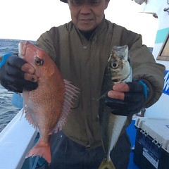 3月17日 （金）午後便・アジ釣りの写真その4